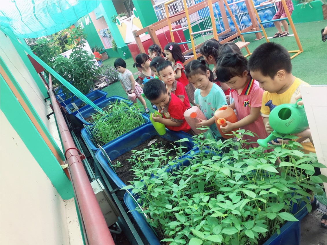 Ảnh đại diện
